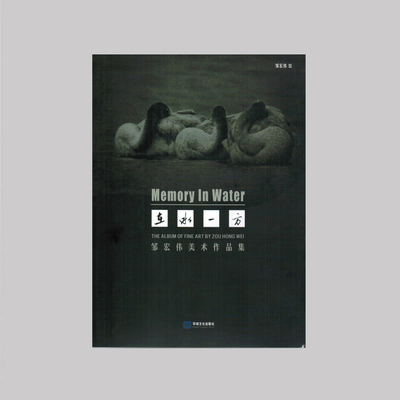 《在水一方·邹宏伟美术作品集》
